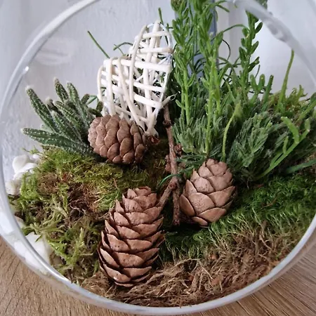 Lesicek Apartman Vysoké Tatry